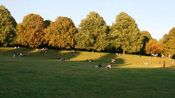 afternoon, broad-leaf tree, broad-leaved tree, day, England, eye level view, grass, London, park, summer, sunny, The United Kingdom, treeline