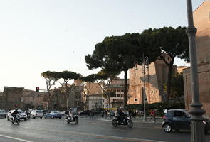 car, coniferous, day, dusk, eye level view, Italia , Lazio, motorcycle, parasol pine, pine, Rome, street, summer, sunny, traffic, tree