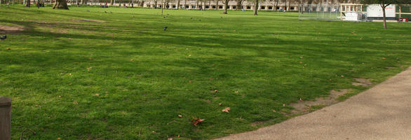 day, direct sunlight, England, eye level view, grass, London, park, spring, sunny, The United Kingdom, tree