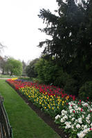 day, England, eye level view, flower, grass, greenery, London, park, spring, The United Kingdom, tree