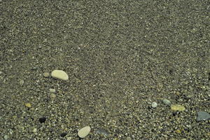 above, Antibes, close-up, day, France, nature, outdoor lighting, pebble, Provence Alpes Cote D