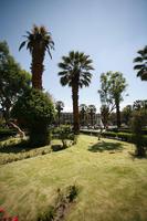 Arequipa, Arequipa, autumn, day, eye level view, natural light, palm, park, Peru, sunny, tree, vegetation