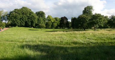 broad-leaf tree, broad-leaved tree, day, England, eye level view, grass, London, park, summer, sunny, The United Kingdom, treeline