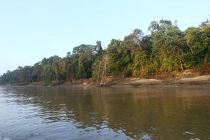 afternoon, Brunei, day, eye level view, forest, river, summer, sunny, treeline, tropical