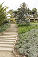 autumn, Barcelona, bush, Cataluña, day, diffuse, diffused light, eye level view, Gaudi Park, park, shrub, Spain, steps