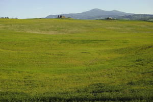 afternoon, day, elevated, grass, Italia , Siena, spring, sunny, Toscana, valley