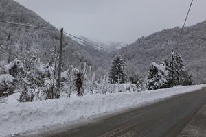 ambient light, day, diffuse, diffused light, eye level view, Italia , morning, mountain, natural light, overcast, road, snow, tree, Veneto, winter