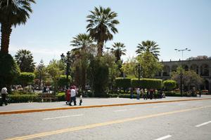 Arequipa, Arequipa, autumn, day, eye level view, natural light, palm, people, Peru, street, sunny, tree, vegetation, walking