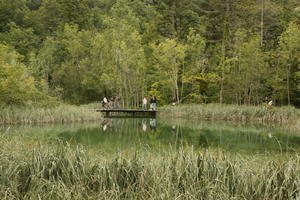 Croatia, day, diffuse, diffused light, eye level view, Karlovacka, lake, natural light, reed, summer