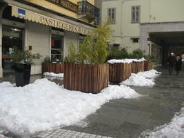 afternoon, day, eye level view, Italia , Mondovi, pavement, Piemonte, potted plant, snow, winter