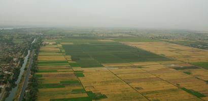 aerial view, day, diffuse, diffused light, Egypt, field, natural light, summer