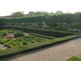 afternoon, bush, day, England, eye level view, garden, hedge, natural light, park, plant, summer, sunny, The United Kingdom