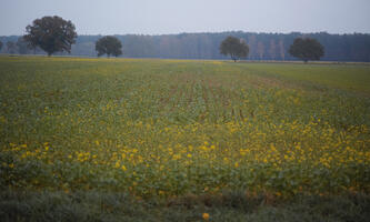 Poland, Wielkopolskie