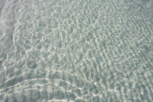 beach, close-up, day, Florida, sand, Sarasota, sunny, sunshine, The United States, water, winter