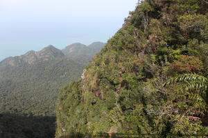 day, elevated, forest, Kedah, Malaysia, mountain, sunny, vegetation