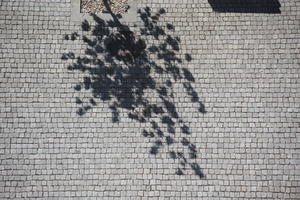 above, day, pavement, Porto, Porto, Portugal, spring, sunny