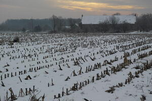 Poland, Wielkopolskie