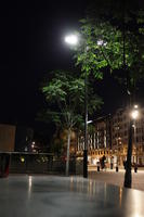 artificial lighting, Bilbao, eye level view, night, Pais Vasco, Spain, tree, vegetation