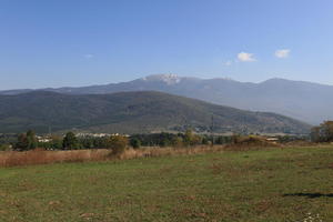 Croatia, day, eye level view, field, grass, Karlovacka, mountain, sunny, woodland