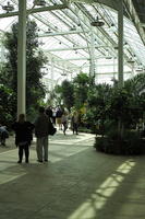 ceiling, day, England, eye level view, family, garden, glass, greenhouses, group, natural light, people, plant, The United Kingdom, Woking