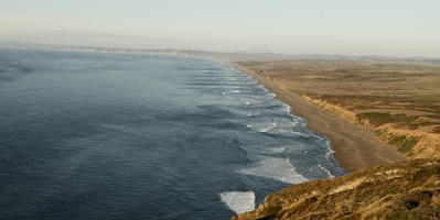 aerial view, afternoon, autumn, beach, bird