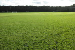 day, England, eye level view, football pitch, grass, London, sunny, The United Kingdom, winter