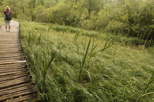 bridge, Croatia, day, diffuse, diffused light, eye level view, grass, Karlovacka, natural light, summer