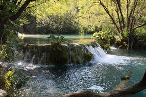 Croatia, day, eye level view, Karlovacka, sunny, tree, vegetation, waterfall