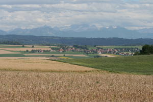 crop, day, eye level view, field, Lausanne, mountain, natural light, summer, sunny, Switzerland, valley, Vaud, vegetation