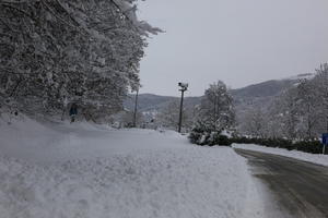 ambient light, day, diffuse, diffused light, eye level view, Italia , morning, natural light, overcast, road, snow, tree, Veneto, winter