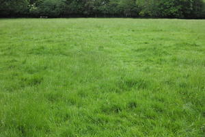 day, England, eye level view, grass, overcast, park, summer, The United Kingdom, Wimbledon