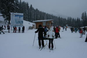 Bulgaria, day, display, eye level view, group, mountain, overcast, people, pine, resort, skiing, slope, snow, sport, tree, vegetation, winter