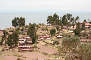 day, elevated, natural light, Peru, Puno, spring, tree, village