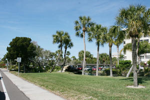 day, eye level view, Florida, grass, palm, Sarasota, sign, sunny, sunshine, The United States, tree, walkway, winter