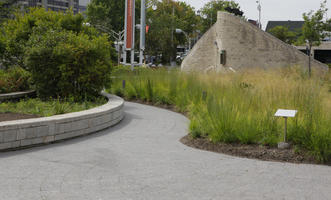 bush, Canada, day, diffuse, diffused light, eye level view, grass, Ontario, Ottawa, pavement, shrub, summer