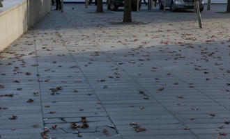 afternoon, autumn, day, England, eye level view, leaf, London, pavement, The United Kingdom