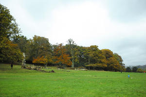 afternoon, autumn, cloudy, day, deciduous, England, eye level view, grass, lawn, open space, outdoors, park, The United Kingdom, treeline, vegetation, Wimbledon