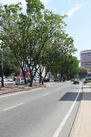 bright, broad-leaf tree, broad-leaved tree, Brunei, day, eye level view, street, summer, sunny