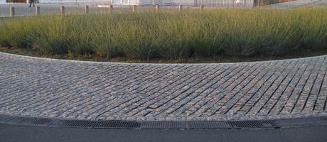 bush, Croatia, eye level view, garden, lavander, pavement, spring, sunset, Zadar, Zadarska