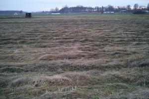 ambient light, countryside, day, eye level view, field, hay, open space, overcast, Poland, Wielkopolskie, winter, Wolsztyn