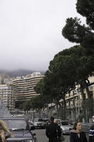 ambient light, city, day, diffused light, elevated, marina, Monaco, Monte Carlo, Monte-Carlo, natural light, overcast, spring, street, treeline