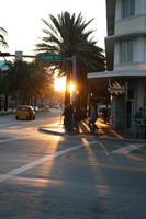 dusk, eye level view, Florida, Miami, palm, sign, street, The United States, winter