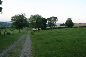 countryside, day, eye level view, field, grass, natural light, road, summer, The United Kingdom, tree, Wales