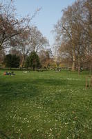 day, deciduous, England, eye level view, grass, London, park, spring, sunny, The United Kingdom, tree