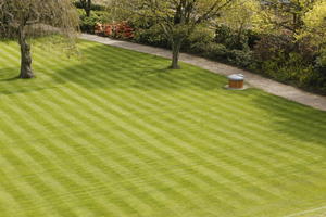 afternoon, day, Edinburgh, elevated, grass, natural light, park, Scotland, spring, The United Kingdom