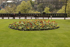 afternoon, day, Edinburgh, eye level view, flower, garden, grass, natural light, park, Scotland, spring, The United Kingdom