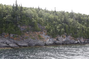 broad-leaf tree, broad-leaved tree, Canada, cliff, coniferous, day, eye level view, Ontario, seascape, summer, sunny, Tobermory, tree, treeline, woodland