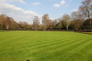 day, deciduous, England, eye level view, grass, London, park, spring, sunny, The United Kingdom, tree