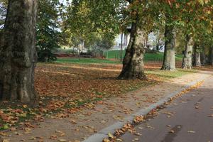 afternoon, autumn, Battersea park, day, England, eye level view, leaf, London, park, path, The United Kingdom, tree