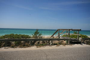 day, eye level view, Florida, Miami, natural light, seascape, street, sunny, The United States, vegetation, winter